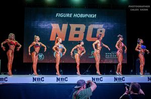 FIGURE НОВИЧКИ